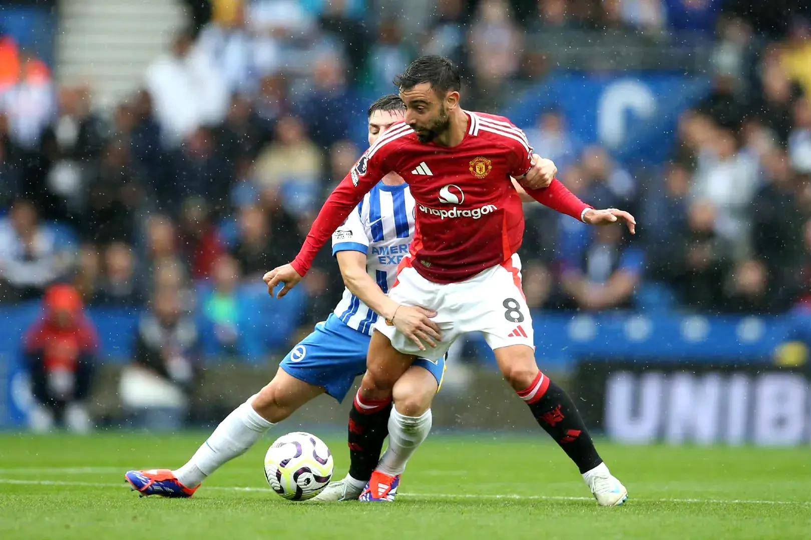 王德约科维 王德约科维