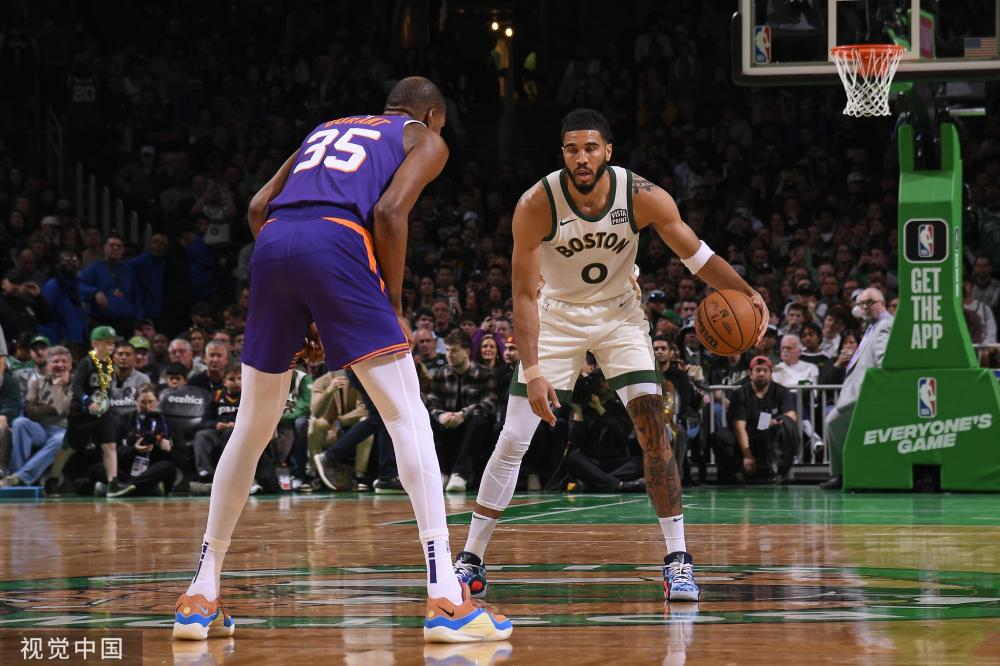 整体生态 整体生态